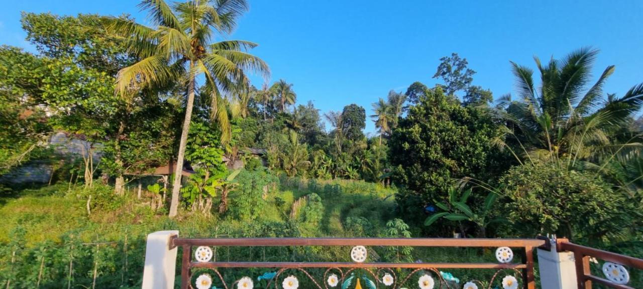 Sri Sedana Homestay Sidemen  Exterior photo